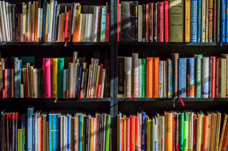 boutique-TOULON-min_books_bookstore_book_reading_shop_writer_sale_books_read-822866